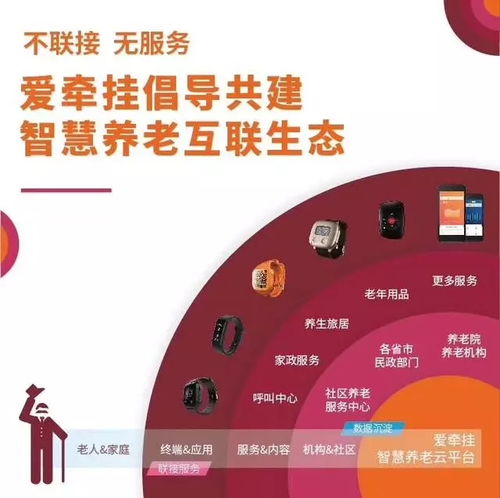 喜讯！柏颐科技被认定为广州瞪羚培育企业，深耕远程健康管理服务
